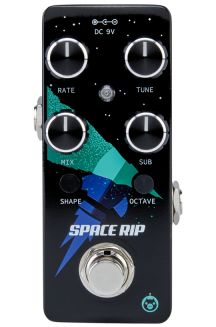 PIGTRONIX SPACE RIP PWM SYNTH